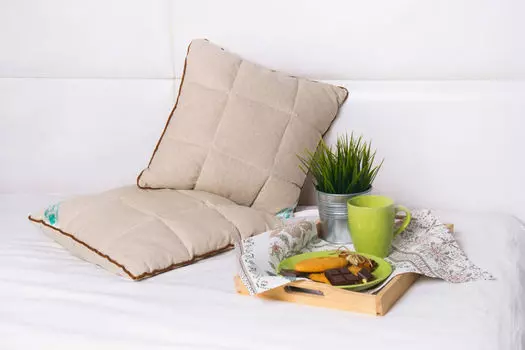 Подушка iv6878 (кедр/лебяжий пух) 50*70