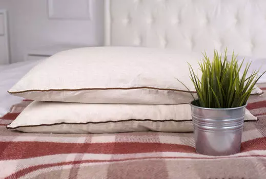 Подушка iv855 (кедр, лен) 40*40