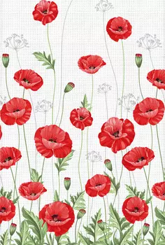 Полотенце кухонное iv47409 40х70