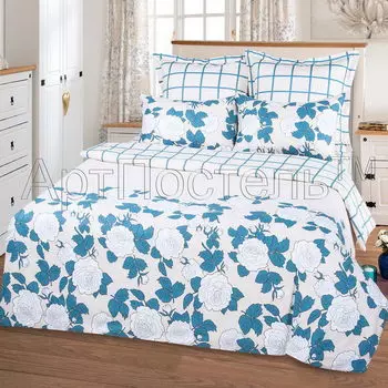 Постельное белье iv18371 (сатин) Евро-1