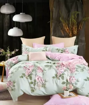 Постельное белье iv60284 (сатин) Евро-1