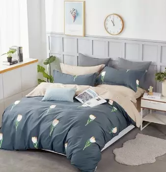 Постельное белье iv62322 (сатин) Евро-1