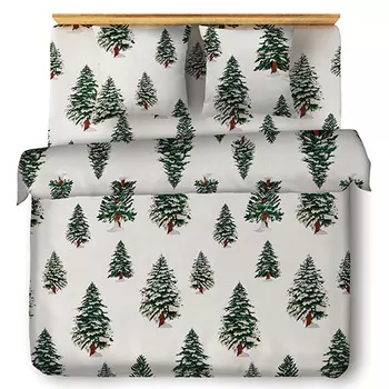 Постельное белье iv66341 (поплин) Семейный