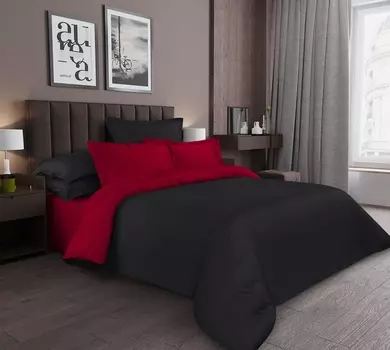 Постельное белье iv67256 (сатин) 2 спальный с Евро простынёй