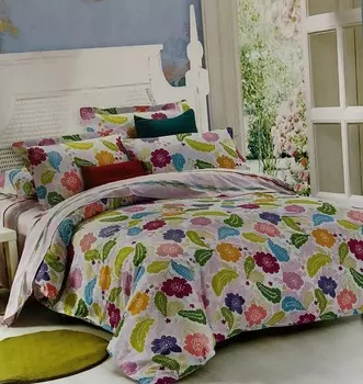 Постельное белье iv67405 (сатин) Евро-1