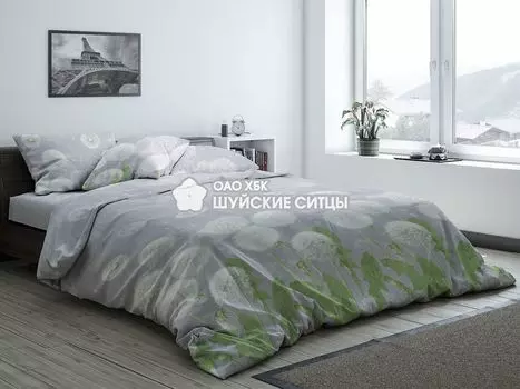 Постельное белье iv72365 (бязь) Евро-1