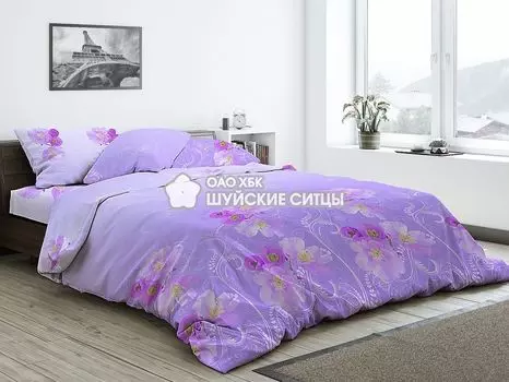 Постельное белье iv72378 (бязь) 2 спальный