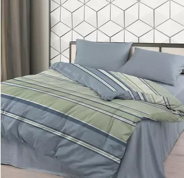 Постельное белье iv88422 (бязь) Евро-1