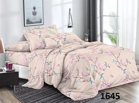 Постельное белье Ovonavi-1681 (жатка) Евро-1