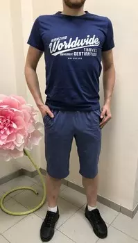 Шорты мужские iv29911