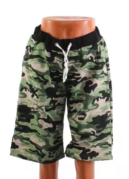 Шорты мужские iv55578