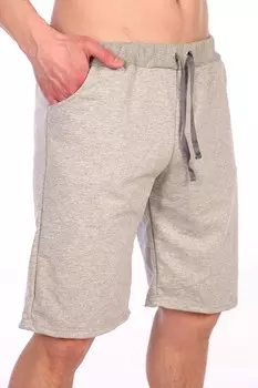 Шорты мужские iv55581