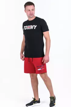 Шорты мужские iv71455