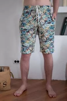 Шорты мужские iv74029