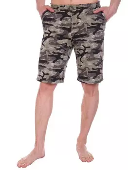 Шорты мужские iv84666