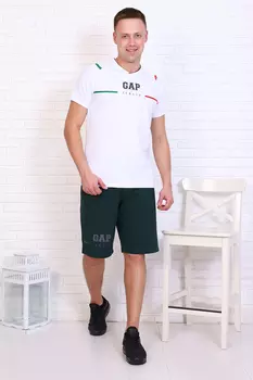 Шорты мужские iv85913