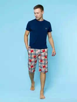 Шорты мужские iv86286