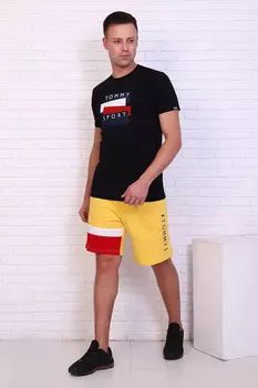 Шорты мужские iv86620