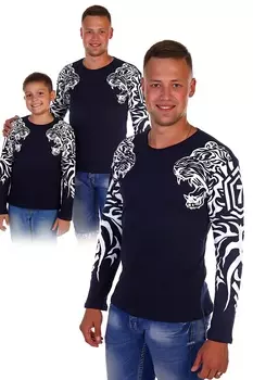 Толстовка мужская iv28380