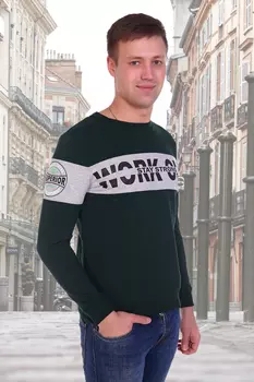 Толстовка мужская iv59803