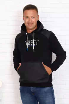 Толстовка мужская iv66228