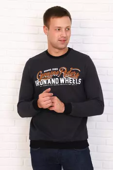 Толстовка мужская iv68399