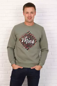 Толстовка мужская iv68405