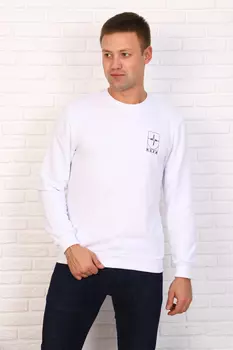 Толстовка мужская iv68409