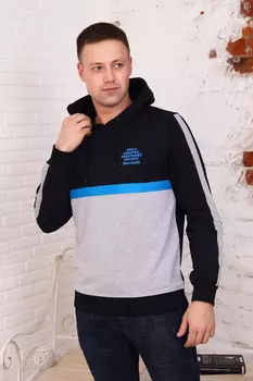 Толстовка мужская iv71876