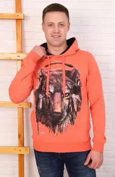 Толстовка мужская iv71899