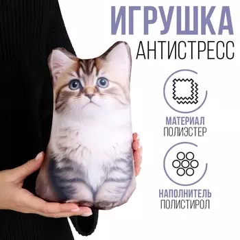 Антистресс игрушка