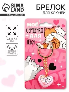 Брелок для ключей