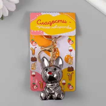 Брелок для ключей на карабине