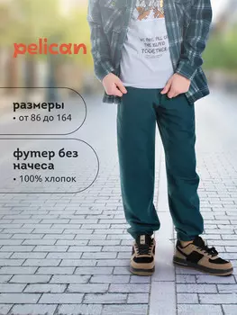 Брюки