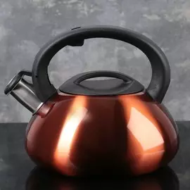 Чайник со свистком
