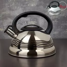 Чайник доляна