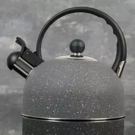 Чайник со свистком доляна