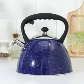 Чайник со свистком из нержавеющей стали доляна