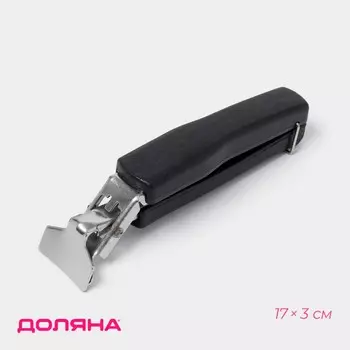 Чапельник доляна