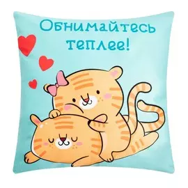 Чехол