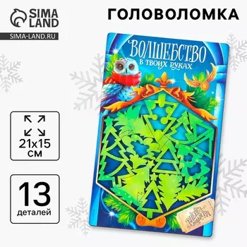 Головоломка деревянная для детей
