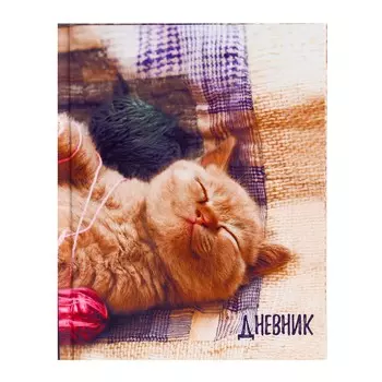Дневник для 1-4 классов,