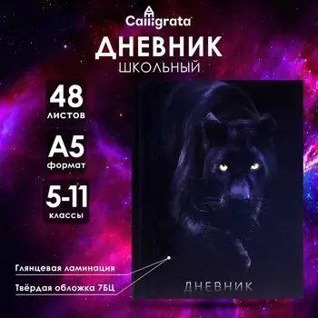 Дневник школьный для 5-11 классов,