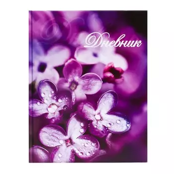 Дневник для 5-11 классов,