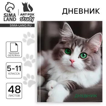 Дневник школьный 5-11 класс, в твердой обложке, 48 л.