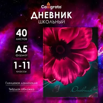Дневник школьный для 1-11 классов,
