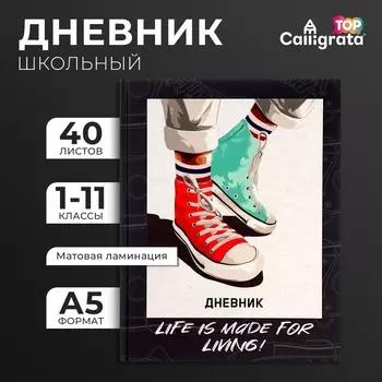 Дневник школьный для 1-11 классов,