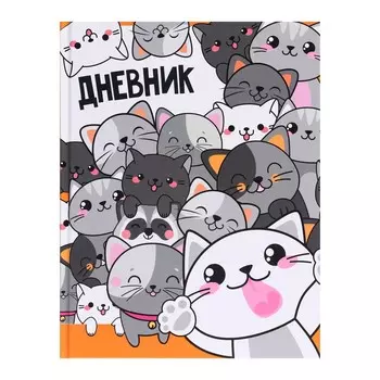 Дневник универсальный для 1-11 классов,