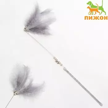 Дразнилка