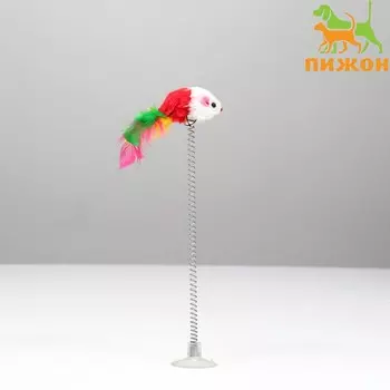 Дразнилка